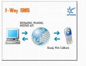 探索軟件開發(fā)與相關技術領域