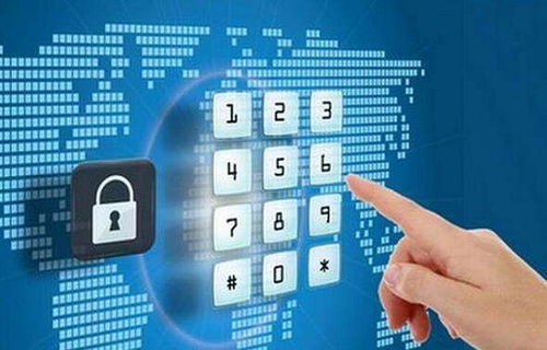 計算機(jī)軟件開發(fā)概述 軟件定義、分類及開發(fā)過程